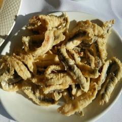 images/piata/psiart-piata (36).jpg